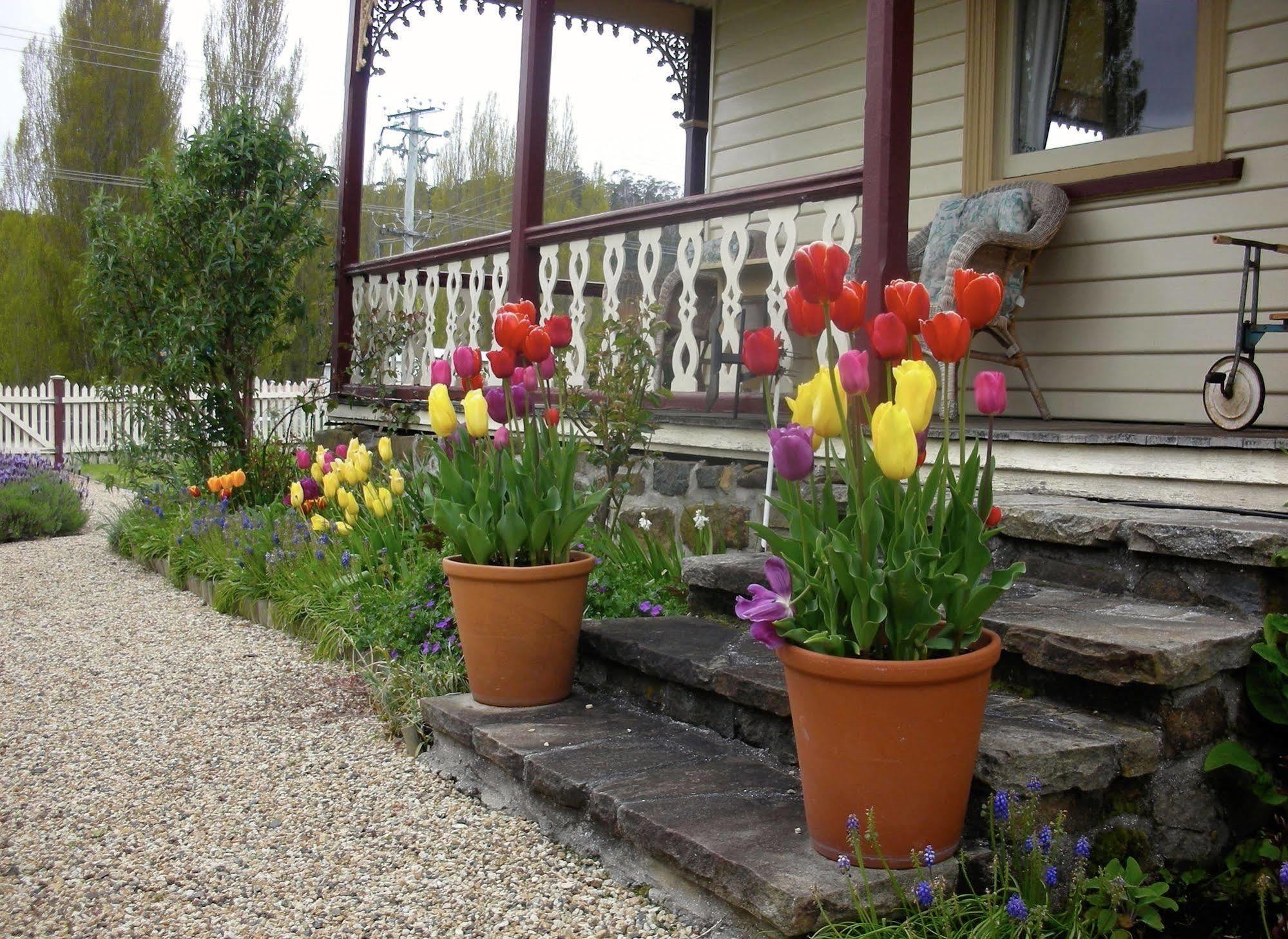 Cambridge House Breakfast & Bed Bed & Breakfast Geeveston Exterior photo
